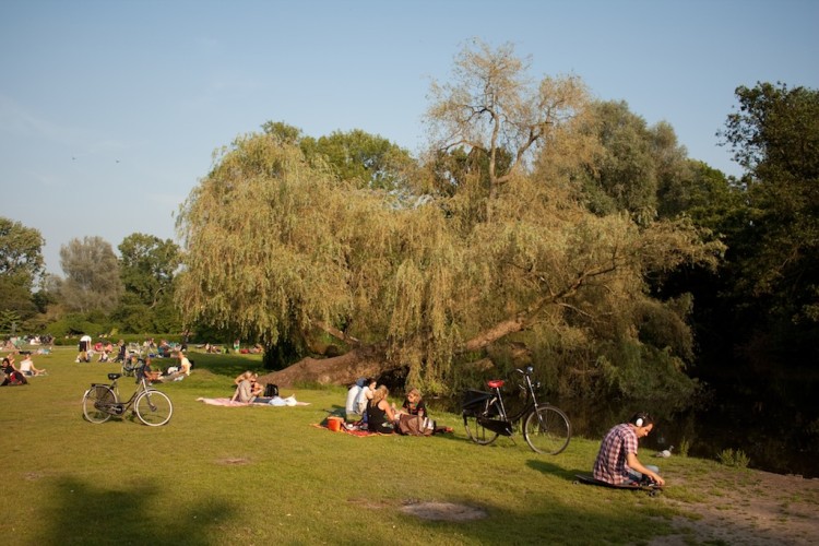 Gente haciendo picnics en Vondelpark
