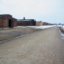 Barracons de fusta al camp de Birkenau