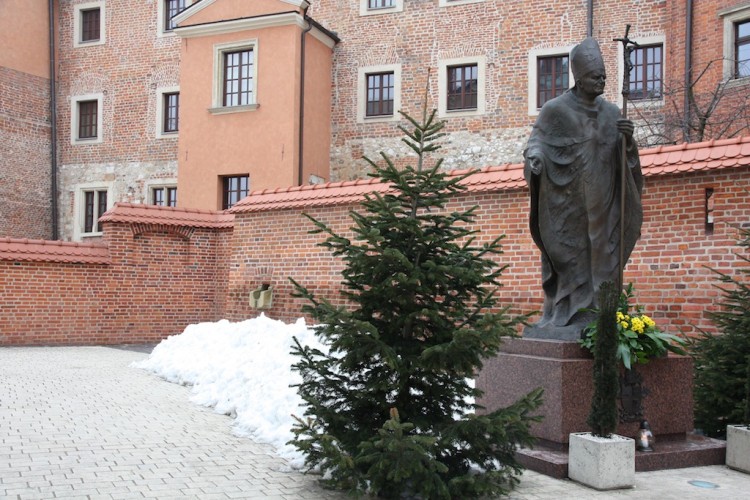 4 días en Cracovia: Estatua San Pablo II en el Castillo de Wawel