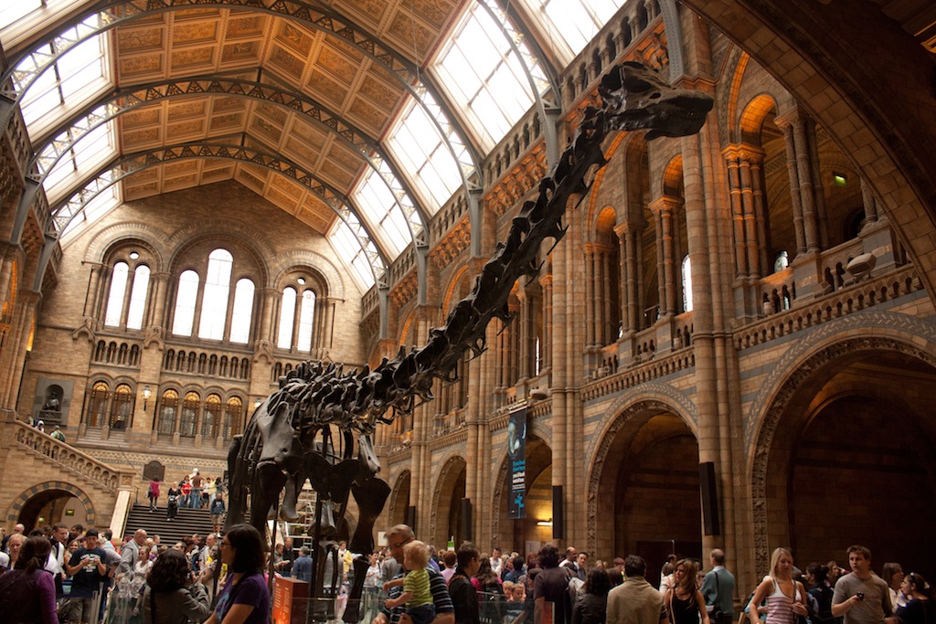 Museos de Londres: Museo de Historia Natural de Londres