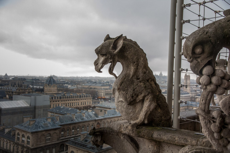 Gárgola en la Catedral de Notre Dame