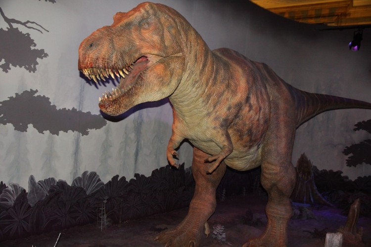 Tyrannosaurus Rex en el museu d'història natural de Londres