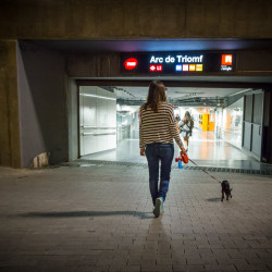 Gossos al metro de Barcelona: Kira entrant al metro