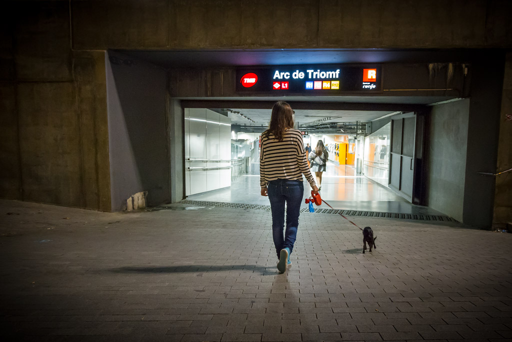 Gossos al metro de Barcelona: Kira entrant al metro