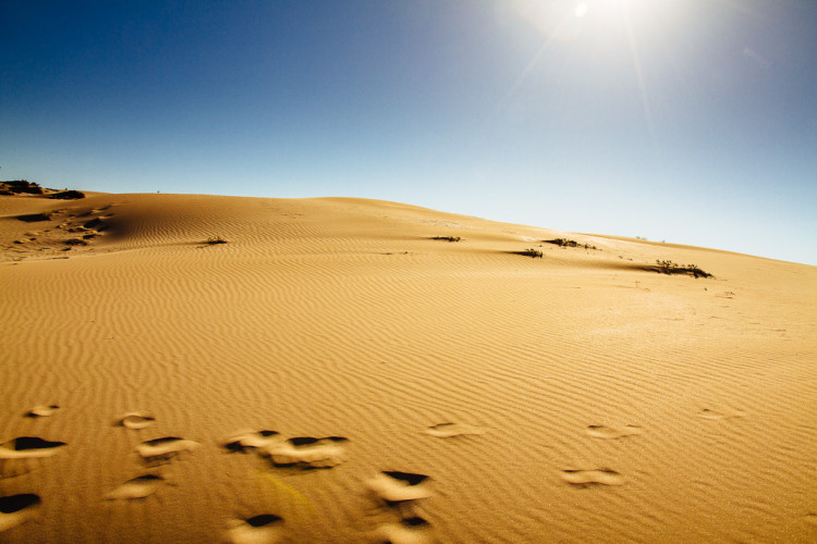 Dunes a la platja de Riumar