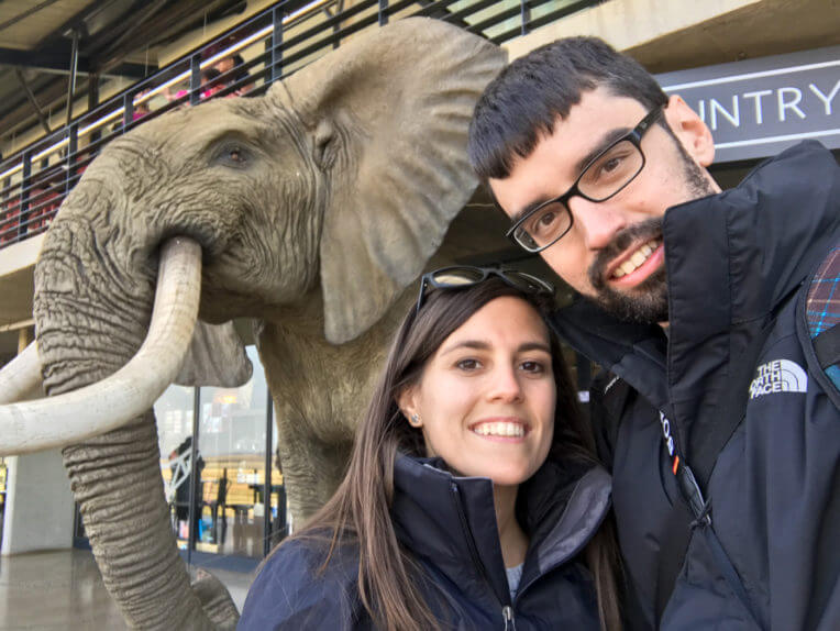 Viaje a Sudáfrica: Selfie con un elefante
