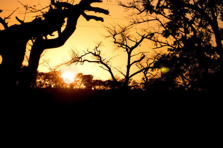 Safari al Parc Nacional de Kruger a Sud-àfrica - Sortida del sol