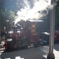Tren de vapor al Parc de L'Oreneta