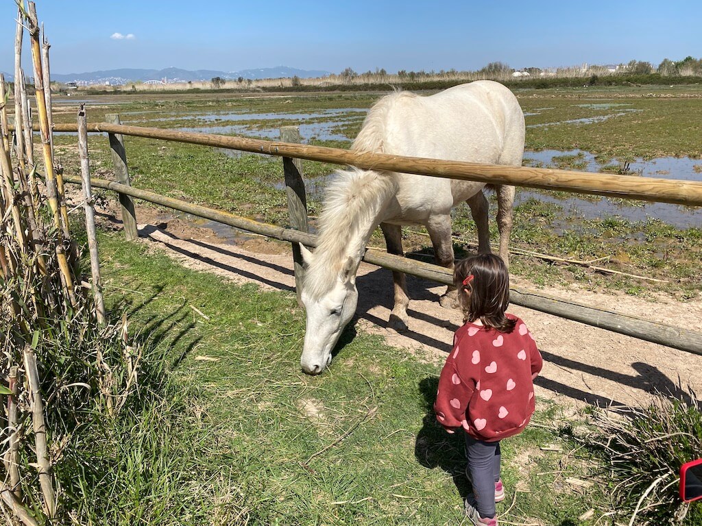 Cavalls al Delta del Llobregat